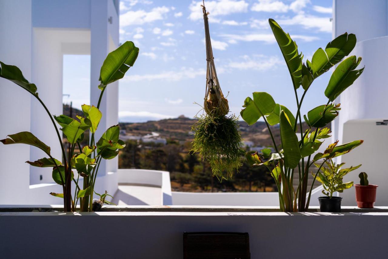 Kouros Blanc Resort & Suites Пунда Екстериор снимка